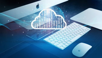 双十一物流大战白热化 金柚网携手壮寻网络，为快递业失衡寻出口